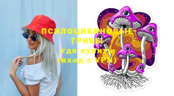 Альфа ПВП Армянск
