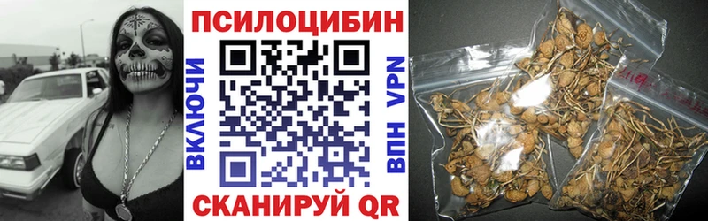 Псилоцибиновые грибы Psilocybe  наркошоп  Урай 